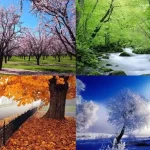 فصل مناسب عمل بینی