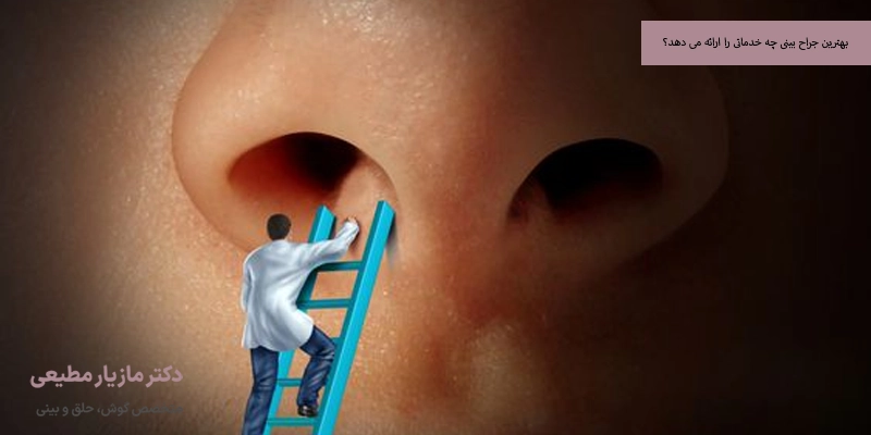 بهترین جراح بینی چه خدماتی را ارائه می دهد؟