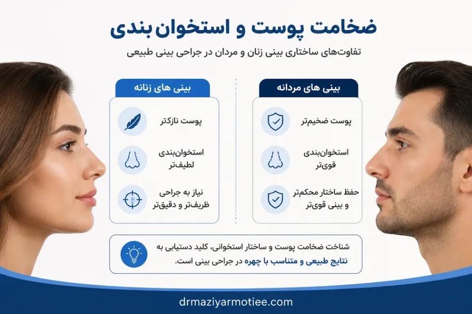 نمای توضیحی درباره ضخامت پوست و استخوان بندی